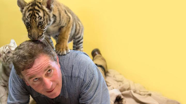 Joel Sartore with baby tiger – Photo Ark Project