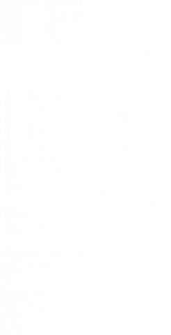 legal-500